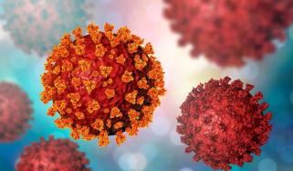 Higher CO2 level helps viruses like COVID to live longer: Study 