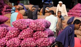 Indian govt lifts onion export ban amid Maharashtra elections