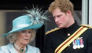 Queen Camilla's 'two-word' response to reveal feelings for Prince Harry?