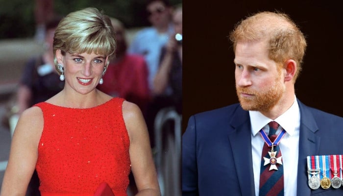 Prince Harry remembers Princess Diana at controversial event