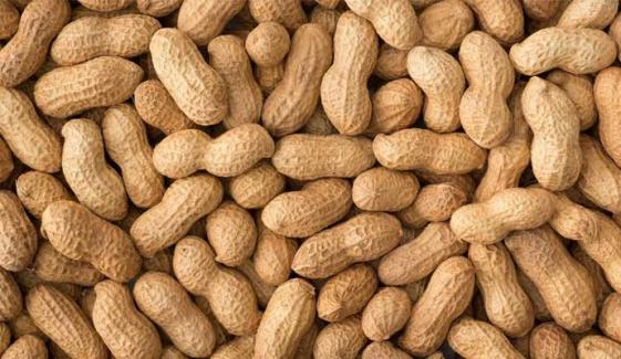 6 benefits of eating peanuts in chilly weather