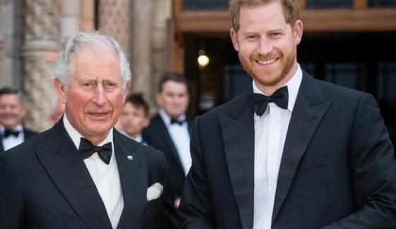 Prince Harry’s ‘Polo’ explores father-son dynamics:'win against dad'