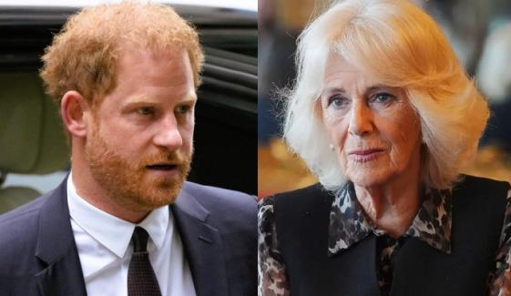 Prince Harry suffers fresh blow as Queen Camilla receives new honour 