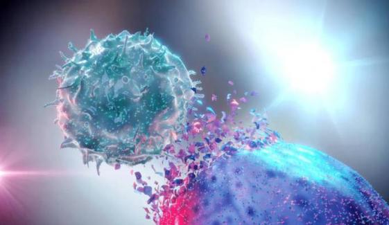 Scientists discover method to transform cancer cells back to healthy state