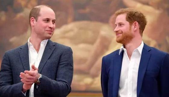 Prince William, Prince Harry 'reunion' expected very soon: Details inside