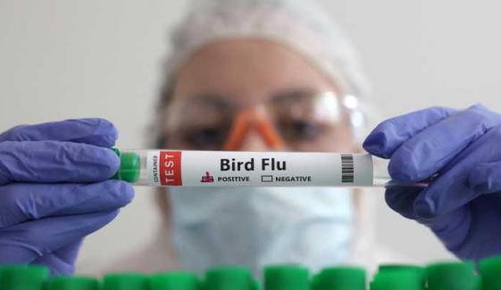 CDC US proposes faster testing of human bird flu amid influenza season