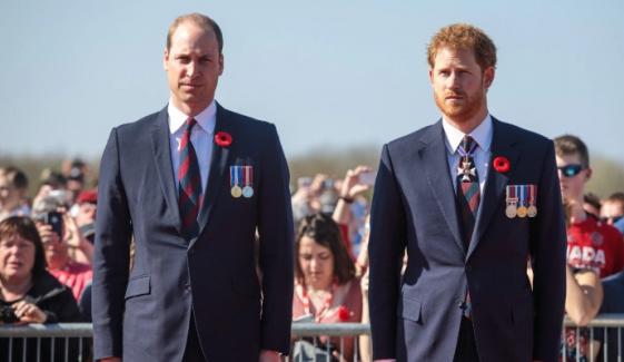 Prince William breaks cover as Harry skips first hearing of NGN trial