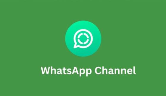 WhatsApp simplifies channel browsing with effortless search option