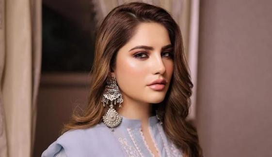 Neelam Muneer Khan makes BIG announcement after tying the knot 