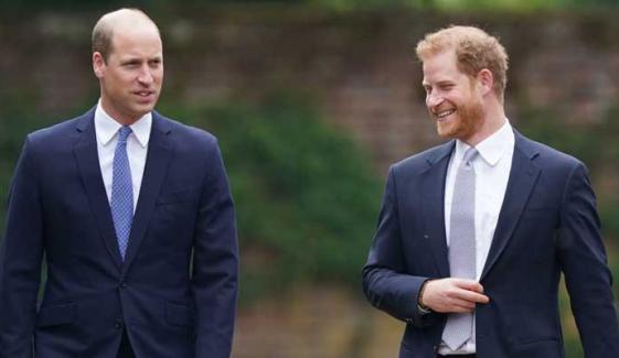 Prince William makes rare comment about Harry's health in new appearance?