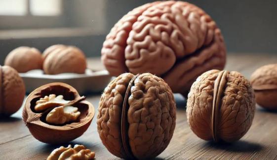 Eating walnuts for breakfast leads to stronger brain power, study