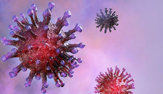 Experts warn US as new virus spreads amid ‘human transmission’ concerns