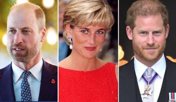 Prince William, Harry earn praises for their joint effort for Diana's legacy