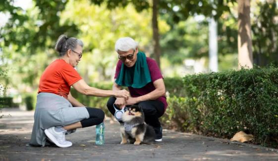 How daily activities can lower heart disease risk? Study reveals