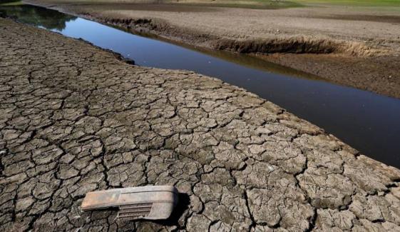UK braces for possible drought as spring rainfall hits record lows