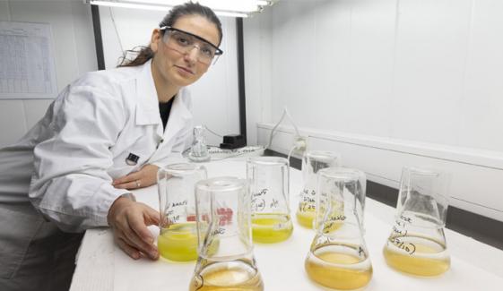 Eco-friendly plastics could pose more risks than expected, researchers warn
