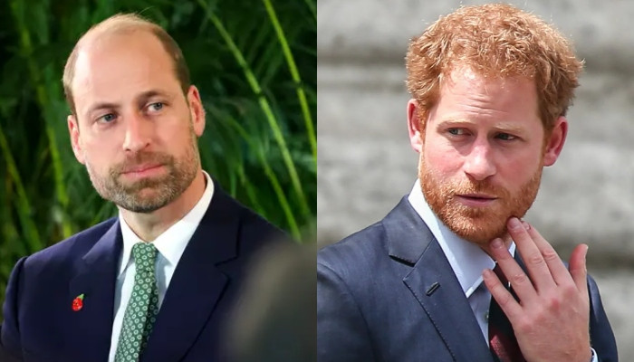 Prince William and Harry
