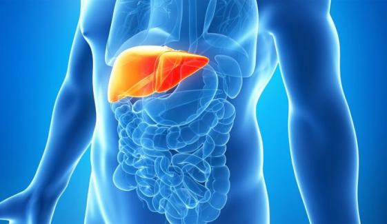 Avoid these four habits to prevent liver cancer 