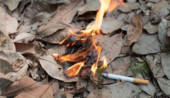 France ban on smoking leaves netizens in stitches: 'another French revolution?'