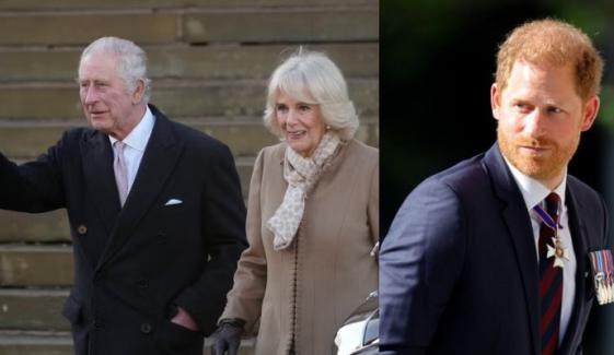 Queen Camilla chooses neutral ground amid King Charles, Prince Harry rift