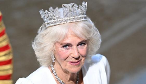 Queen Camilla previews British Flowers Week exhibition at Garden Museum 