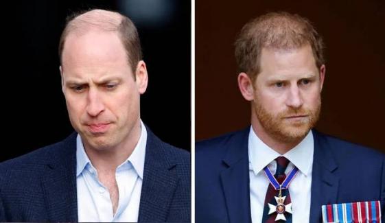 Prince William hints at family rift after Prince Harry’s heartfelt letter
