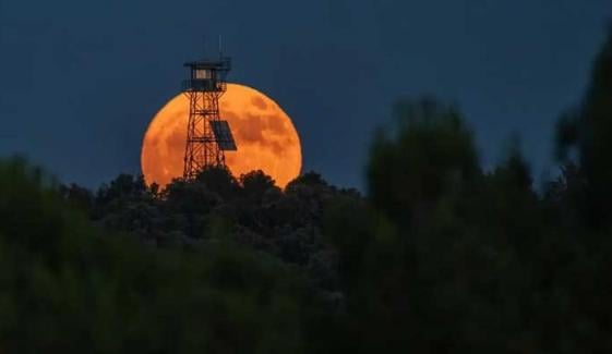 Strawberry moon: Everything to know about celestial event illuminating night sky 