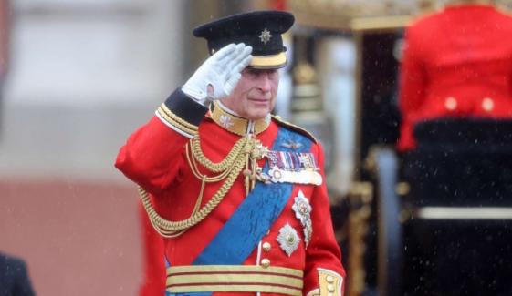 Buckingham Palace drops childhood snaps of King Charles' Trooping the Colour debut 