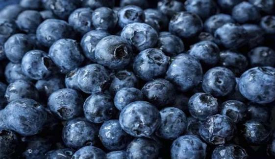 FDA recalls hundreds of blueberries boxes over possible Listeria contamination