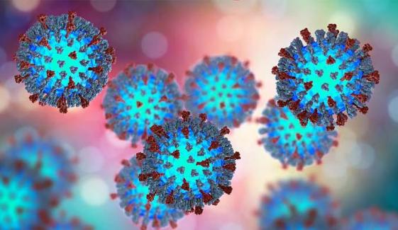 Measles outbreak spreads to Kentucky as US case tally reaches 1,267 this year