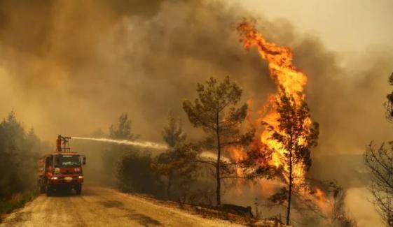 Wildfires erupt in Greece, Turkey and Syria amid intense heat