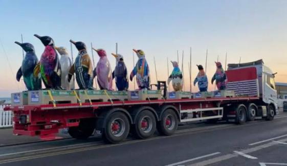 Waddle-on-Sea penguin trail brings dozens of colourful sculptures to Southend