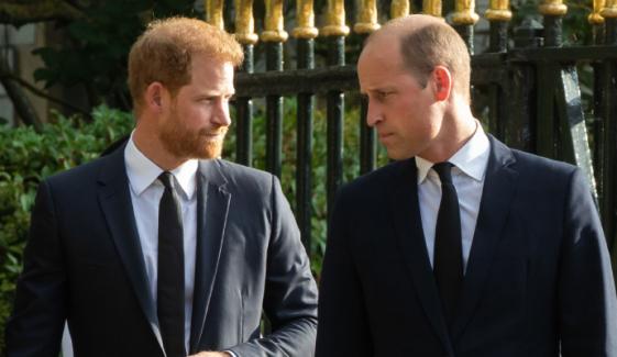 Prince Harry breaks silence on banishment claims under William’s kingship