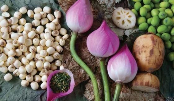 Top health benefits of lotus seeds you must know
