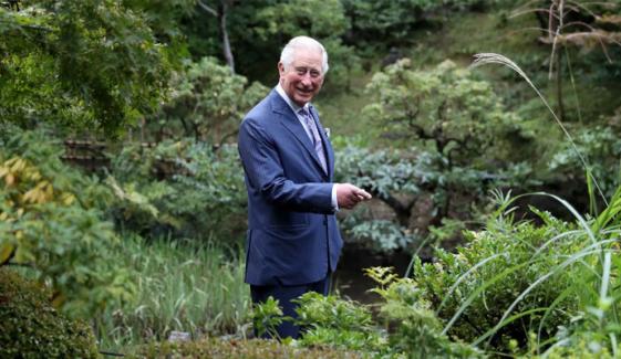 King Charles marks 100 years of National Pinetum with visit to Bedgebury