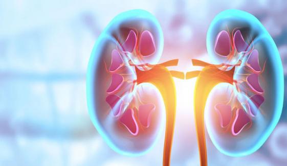 FDA grants approval to Empaveli for rare kidney disease
