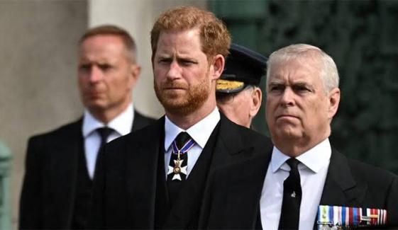 Prince Harry finally addresses infamous Prince Andrew punch rumors