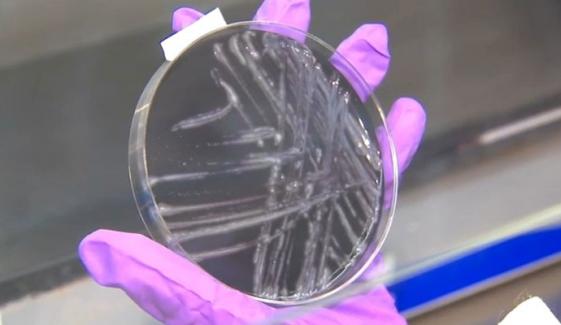 Legionnaires' disease outbreak: 2 people dead among 58 affected in Harlem