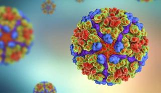 Chikungunya virus outbreak: CDC warns travellers after 8,000+ cases in China