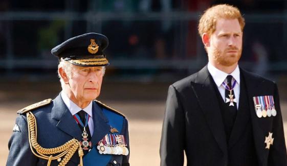 Prince Harry faces heat over gesture toward Royal Family