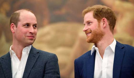 Prince Harry craves for brother William's 'blessing' in UK return