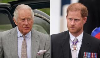 Prince Harry, King Charles to 'sit down' for crucial talks next month