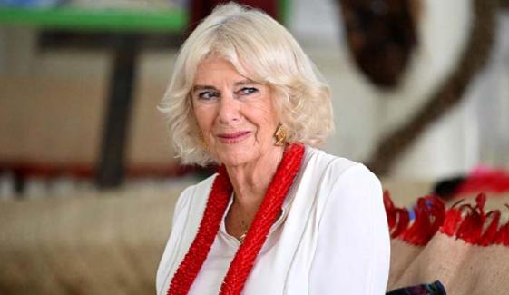 Queen Camilla makes refreshing solo appearance after sharing sad news