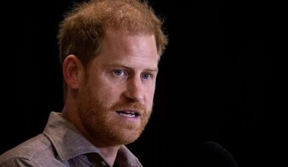 Prince Harry faces warning as Diana documentary can ‘harm royals reconciliation’