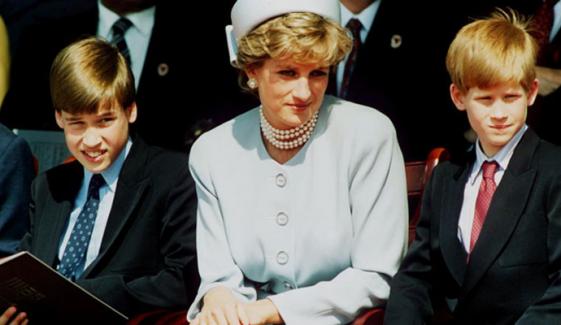 Prince William, Harry's supported charity marks Diana's 28th death anniversary