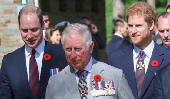 Prince William slams planned meeting of King Charles with Harry as 'terrible idea’