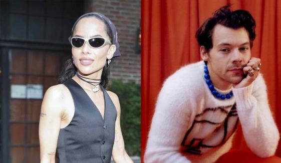 Harry Styles, Zoë Kravitz conclude NYC getaway as they spotted leaving airport