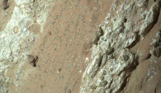 NASA announces ‘clearest sign’ of life on Mars after groundbreaking discovery