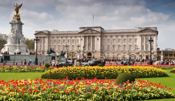Buckingham Palace breaks silence as Trump, Epstein images appeared on Windsor Castle