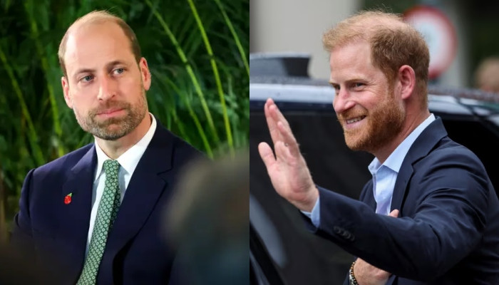 Prince Harry hopes to reconcile with William after King Charles reunion